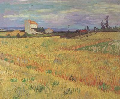 Vincent Van Gogh Wheat Field (nn04) oil painting picture